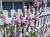 physostegia-rosea_2.jpg