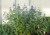 byliny-i-trawy_caryopteris-barbula_79382_2 (1).jpg