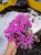 IMG_20250602_112747120_AE.jpg