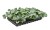 brunnera-silver-heart_6.jpg