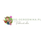 Shoper demo brak logo - strona główna
